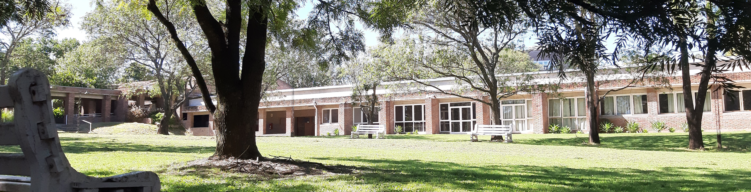 Departamentos y Cátedras